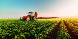 Leia mais sobre o artigo Belarus avisa ao Brasil que suspenderá venda de fertilizantes