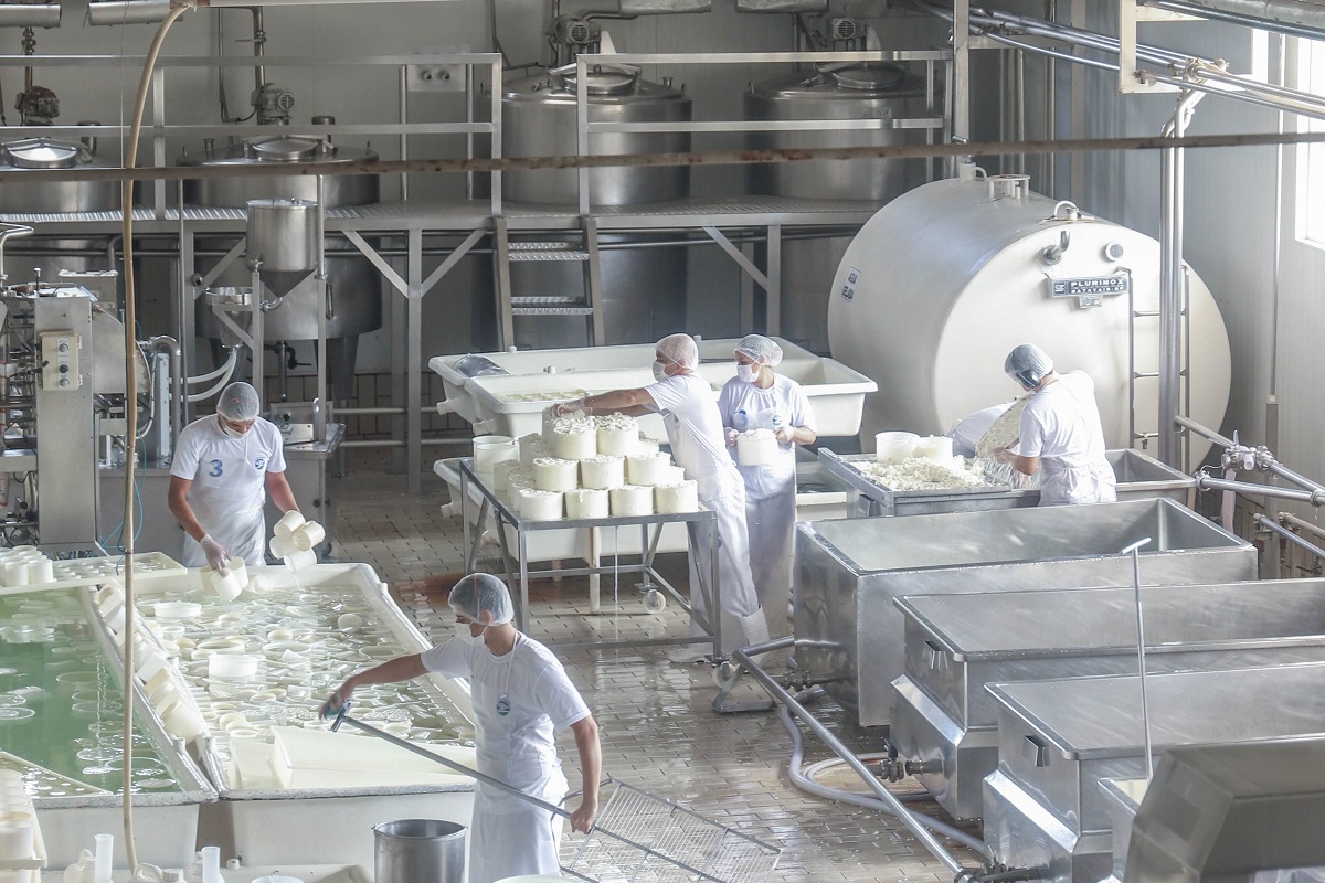 Leia mais sobre o artigo Palma investe em linha sem lactose para atender demanda crescente