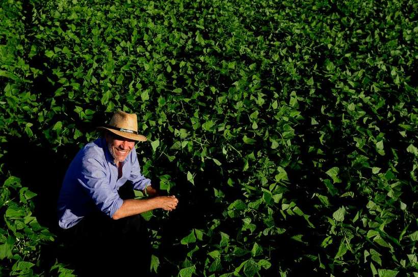 Você está visualizando atualmente Em bom momento, agricultura espera bater novos recordes de safra em 2020