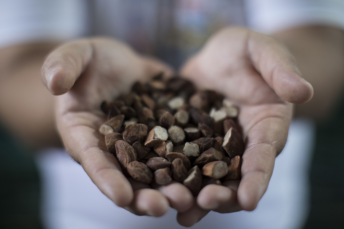 Você está visualizando atualmente Loja virtual valoriza pequenos produtores do Cerrado e da Caatinga