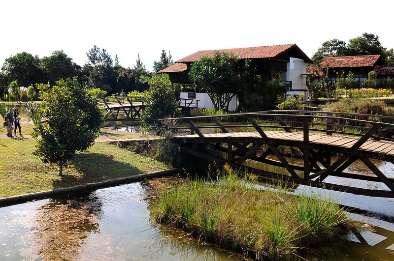 Leia mais sobre o artigo Jardim Botânico de Brasília libera espaços para visitação