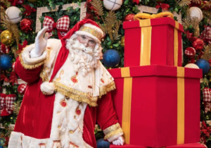 Leia mais sobre o artigo DF Plaza Shopping abre temporada de Natal com Trio do Noel