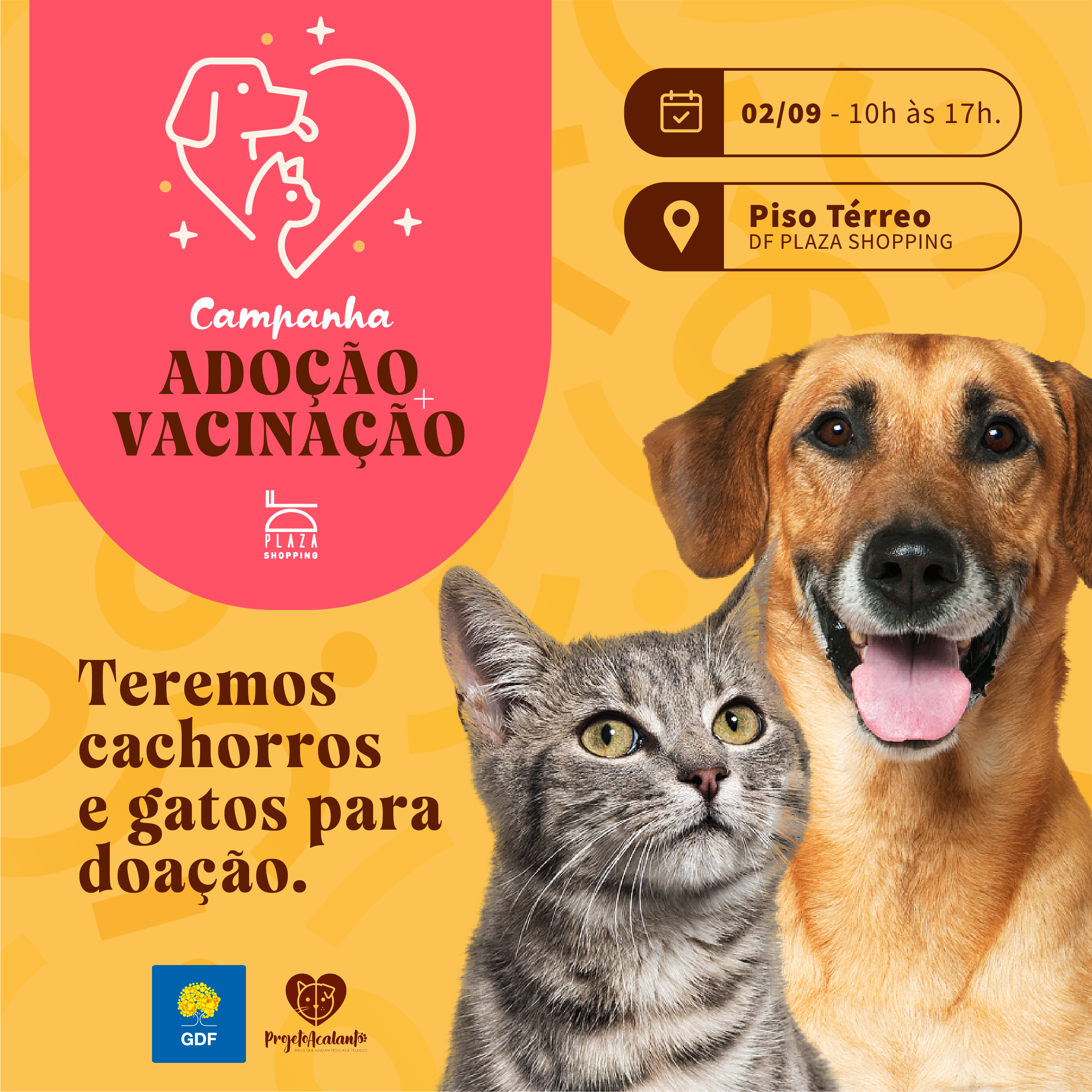 Leia mais sobre o artigo DF Plaza realiza campanhas de imunização e adoção de pets