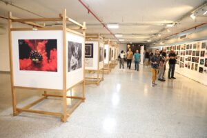 Leia mais sobre o artigo Conheça as fotos vencedoras da 9ª edição do Festival Internacional de Fotografia Brasília Photo Show