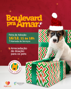 Leia mais sobre o artigo Boulevard pra Amar realiza edição especial de Natal com Projeto Acalanto DF