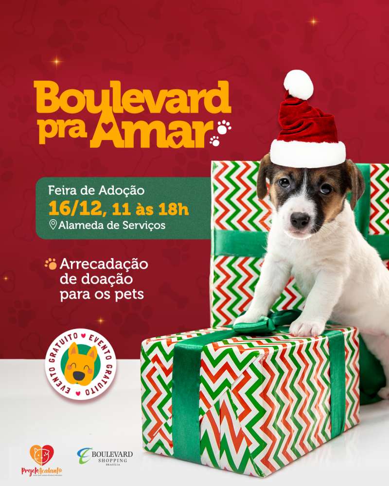 No momento você está vendo Boulevard pra Amar realiza edição especial de Natal com Projeto Acalanto DF
